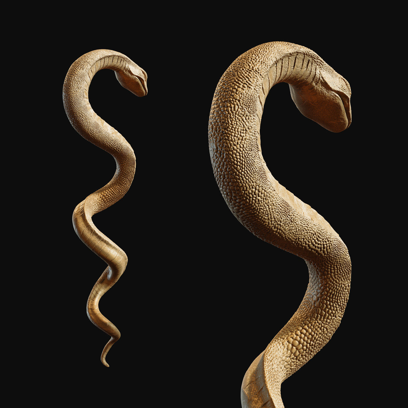 Medical symbol Asclepius - only Snake 3D print model_4