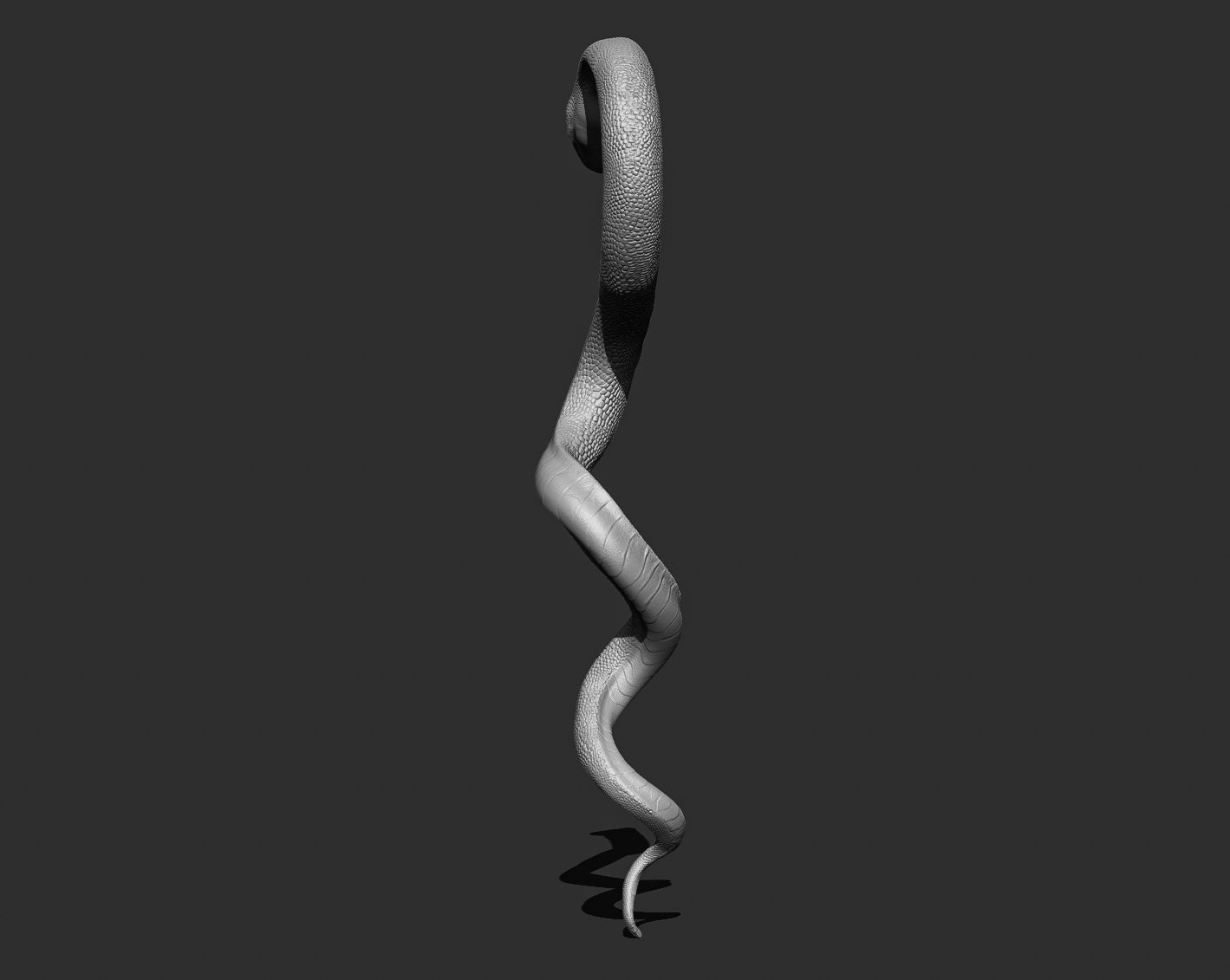Medical symbol Asclepius - only Snake 3D print model_11