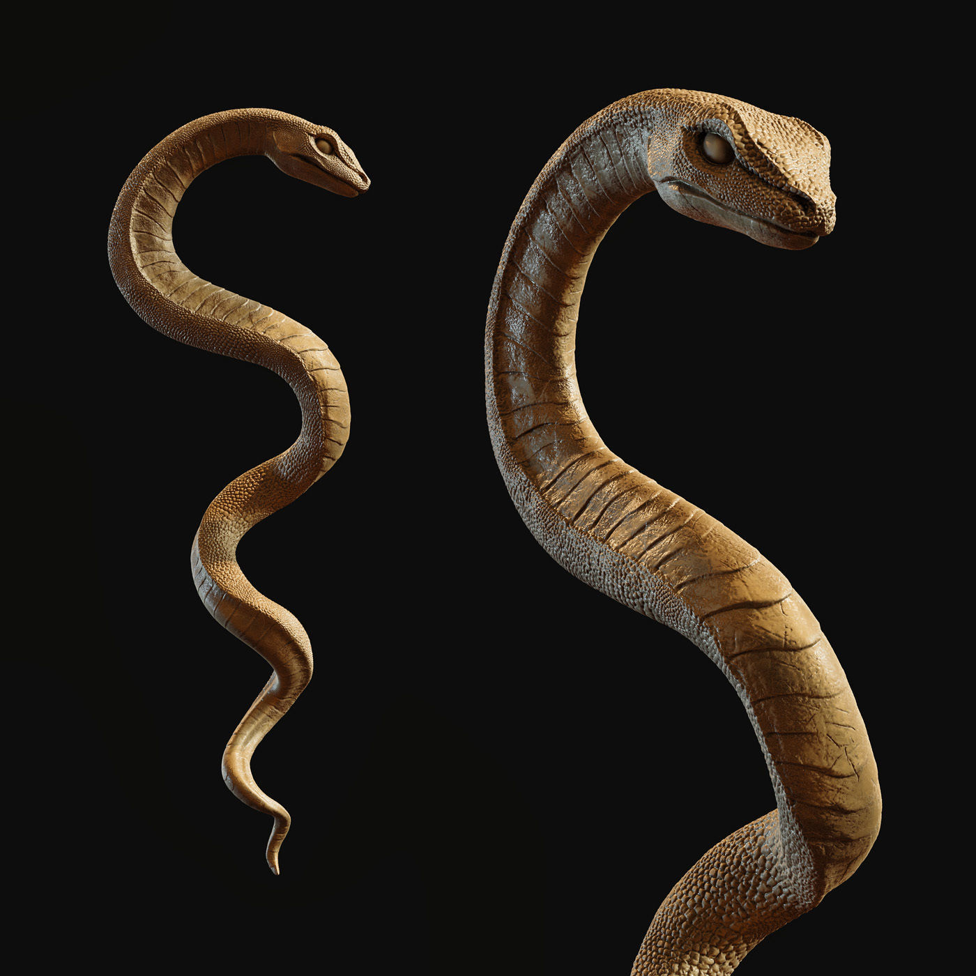 Medical symbol Asclepius - only Snake 3D print model_2