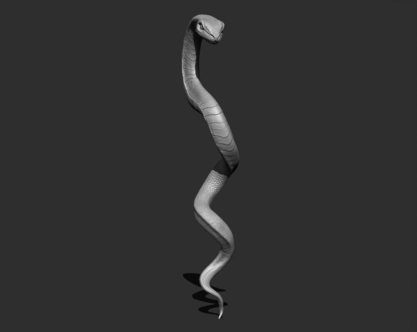 Medical symbol Asclepius - only Snake 3D print model_6