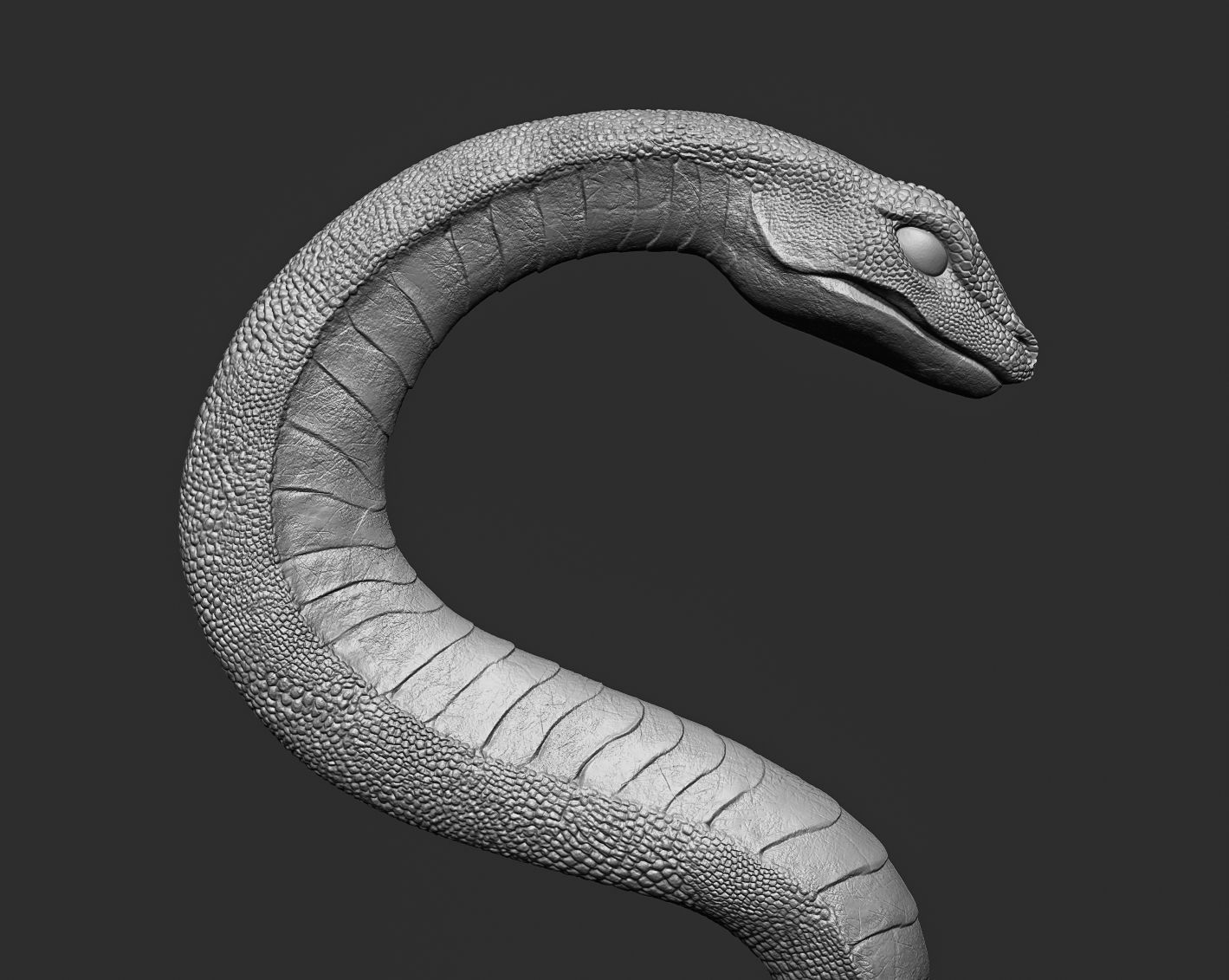 Medical symbol Asclepius - only Snake 3D print model_13