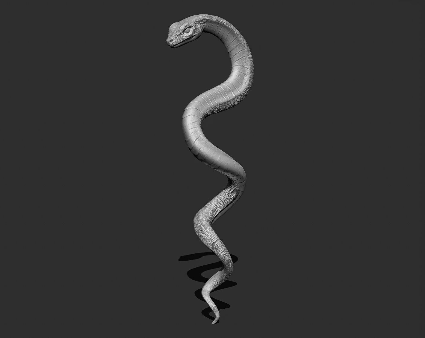 Medical symbol Asclepius - only Snake 3D print model_9