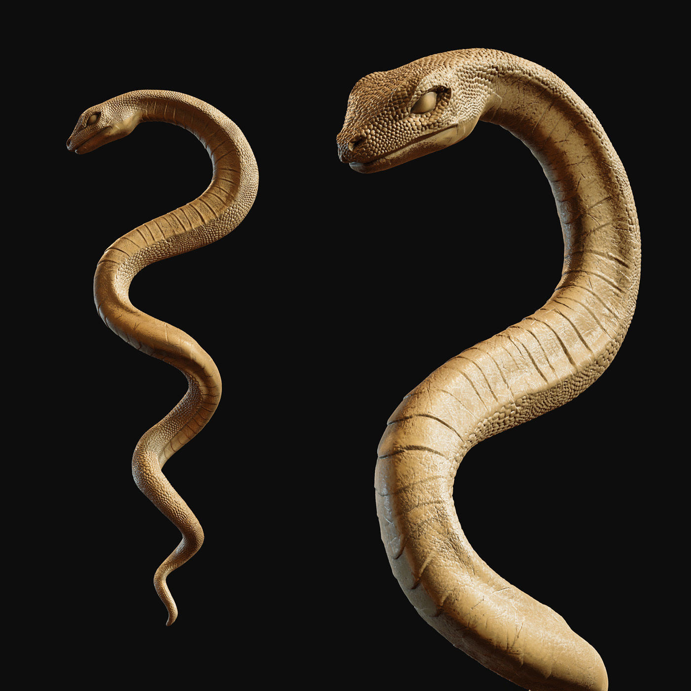 Medical symbol Asclepius - only Snake 3D print model_1