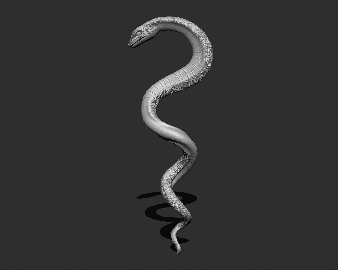 Medical symbol Asclepius - only Snake 3D print model_8