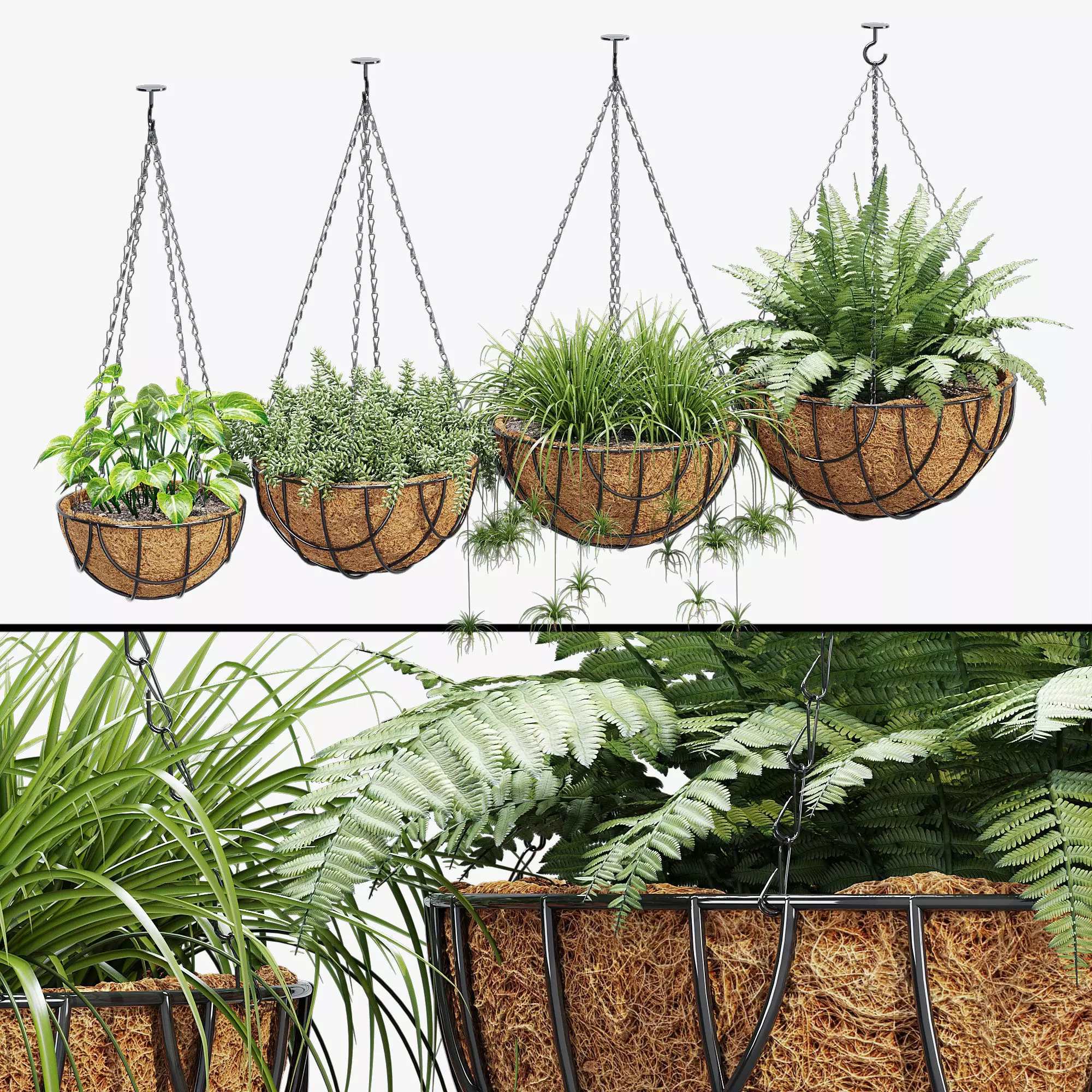 Wire Criss 3D model