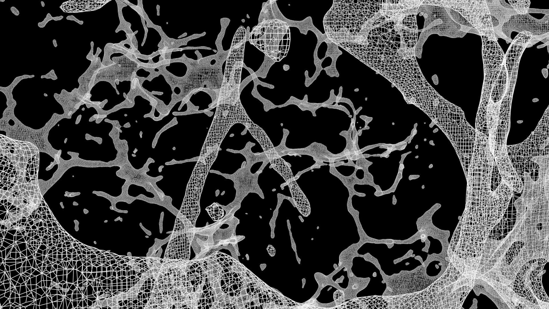 Water Explosion 3D model_6