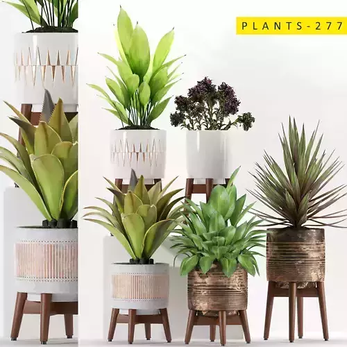 plants 277