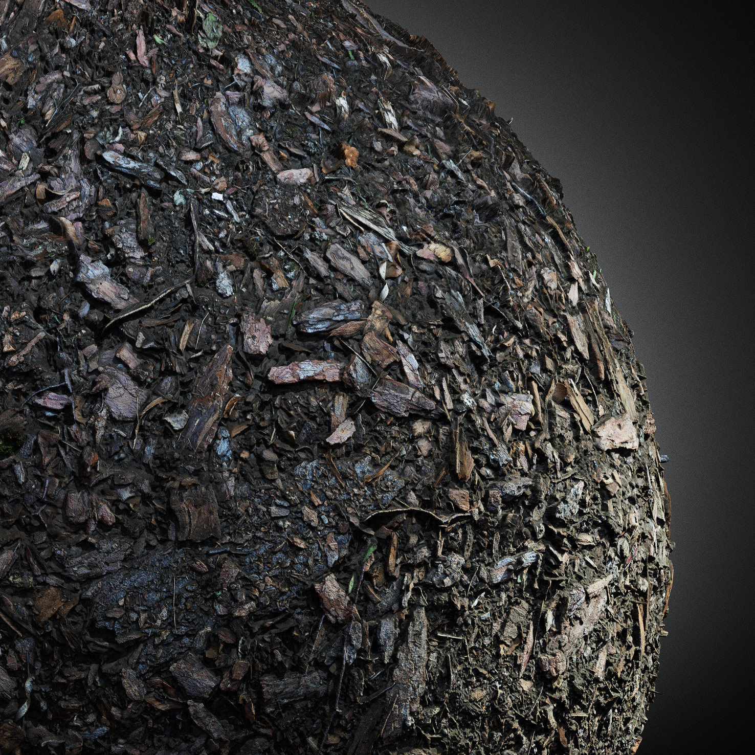 Scanned Seamless Wood Chips Ground PBR Textures Texture_6