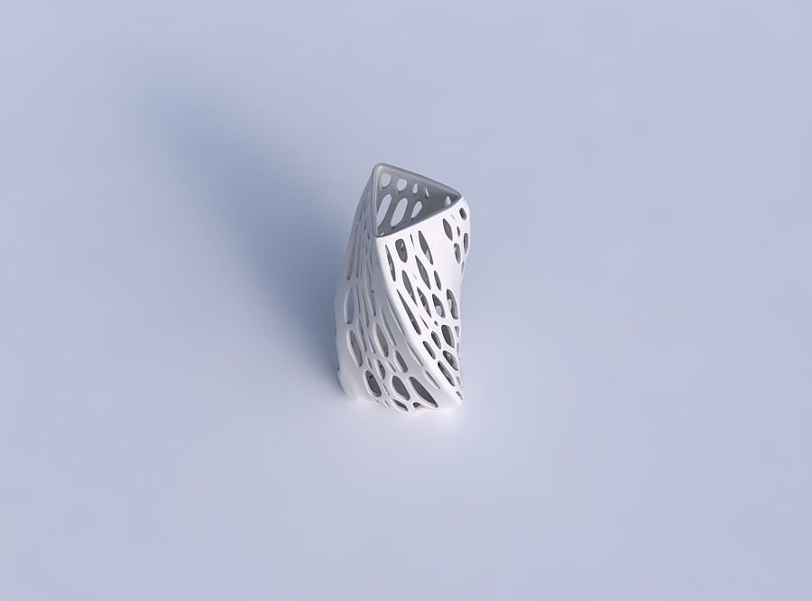 Vase twist triangle with organic lattice with solid sides 3D print model_1