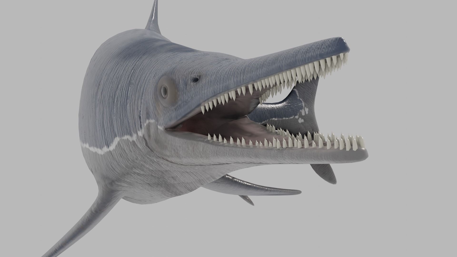 Ichthyosaurs shark Low-poly 3D model_5