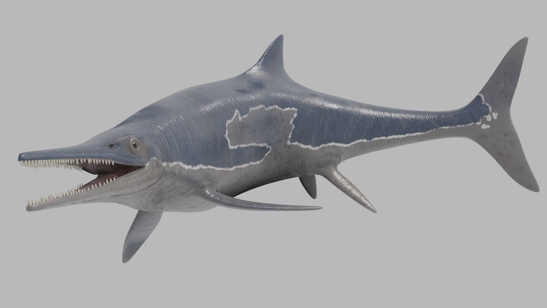 Ichthyosaurs shark Low-poly 3D model_2