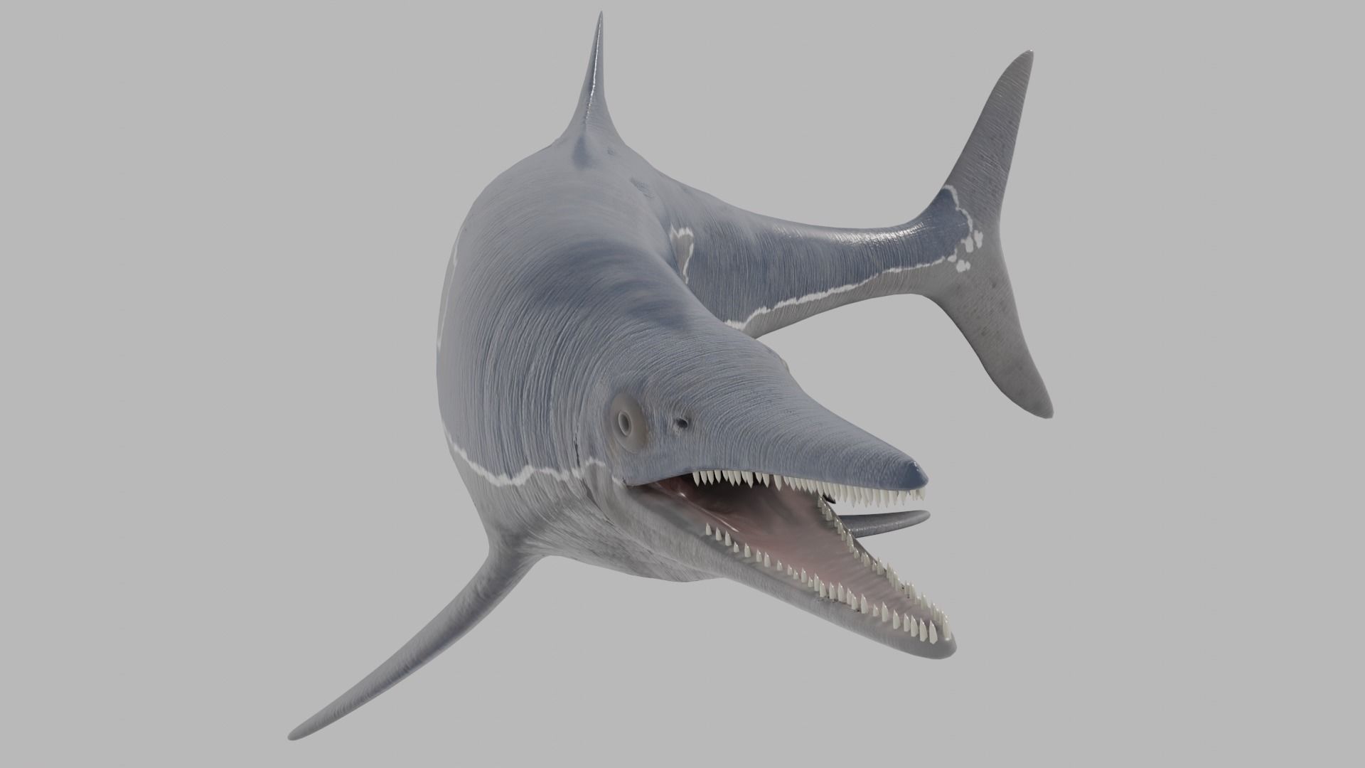 Ichthyosaurs shark Low-poly 3D model_4
