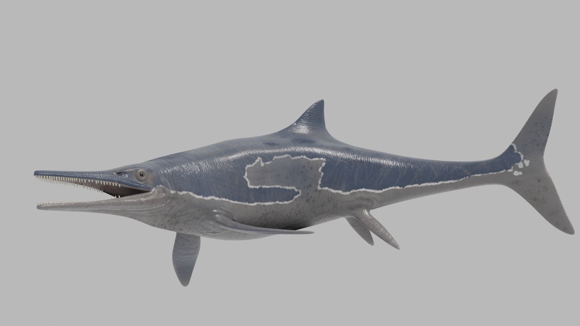Ichthyosaurs shark Low-poly 3D model_3