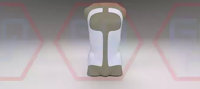 Orthopedic Corset Brace Cheneau Scoliosis 3D model