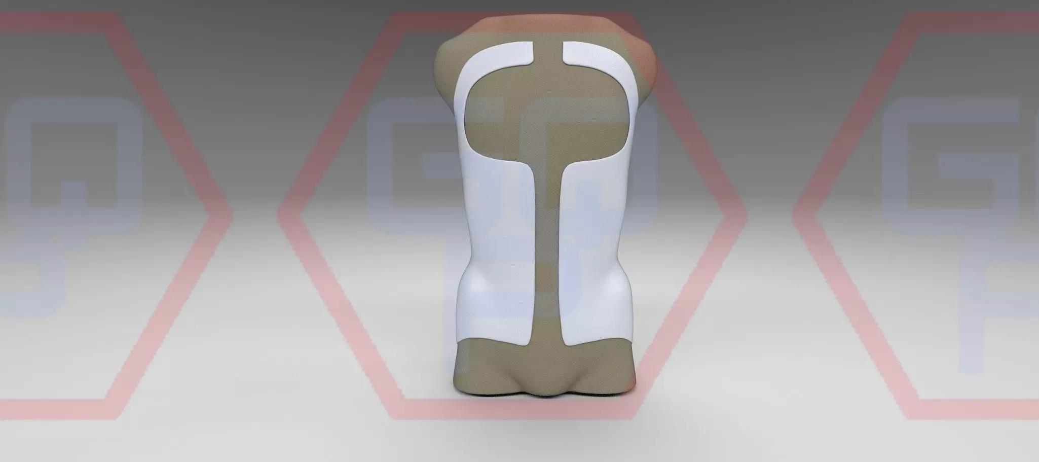 Orthopedic Corset Brace Cheneau Scoliosis 3D model_0