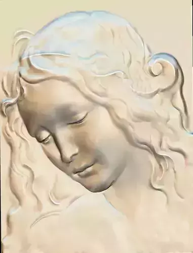 3D woman leonardo da vinci draw 3d 3D print model