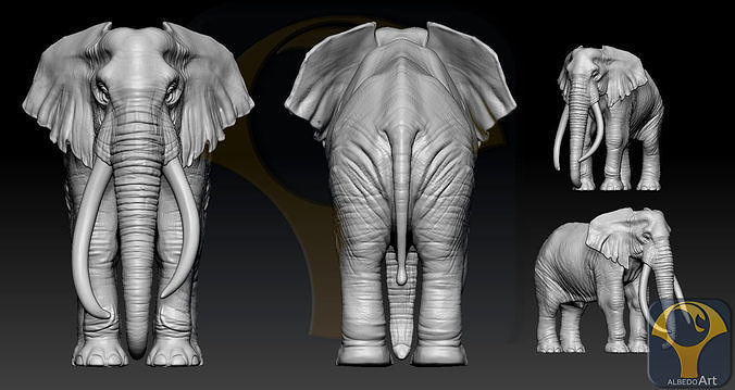 Elephant African  3D print model