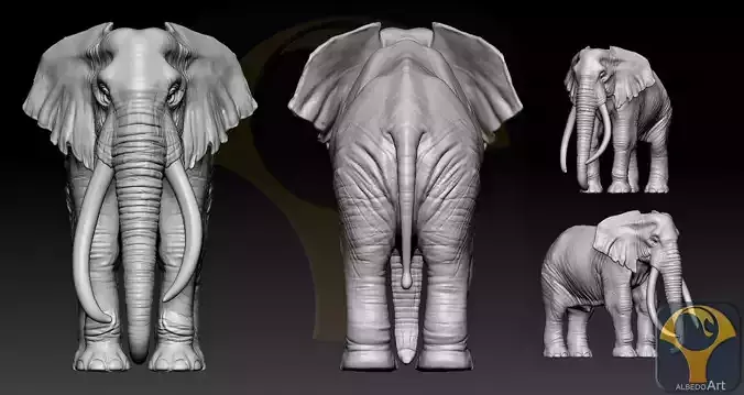 Elephant African  3D print model