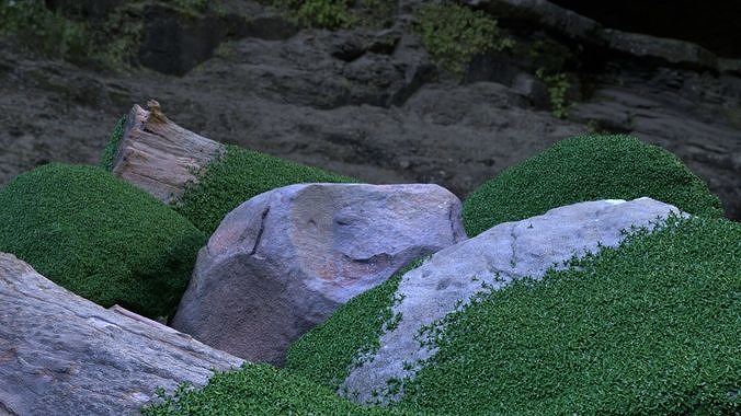 3D Scanned Rocks With Moss Free 3D model