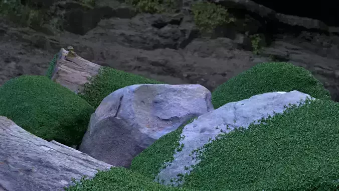 3D Scanned Rocks With Moss