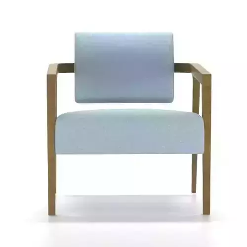 Thatcher lounge chair with fabric and wooden frame 3D model