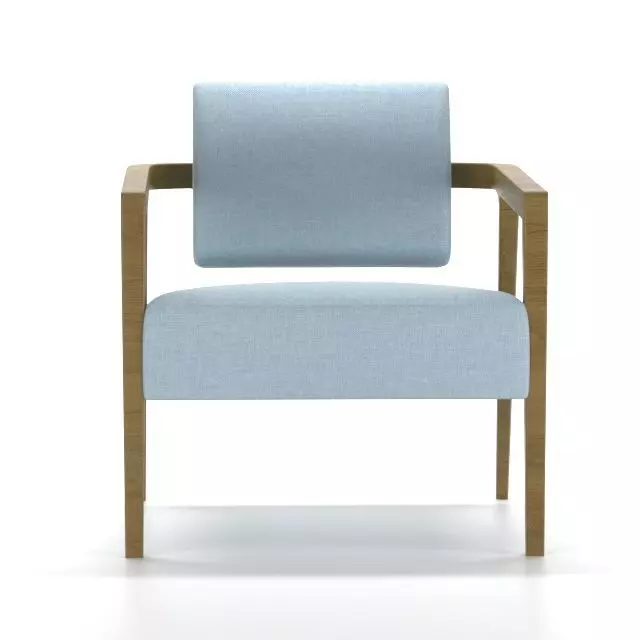 Thatcher lounge chair with fabric and wooden frame 3D model