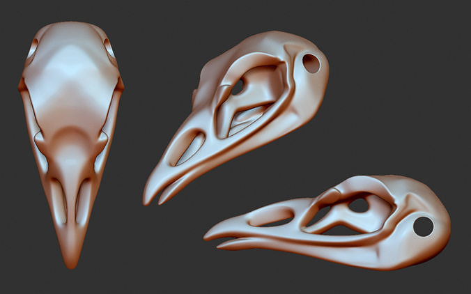 Crow Skull 3D print model