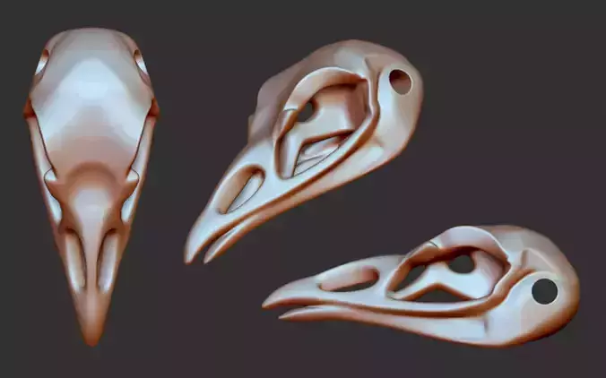 Crow Skull 3D print model