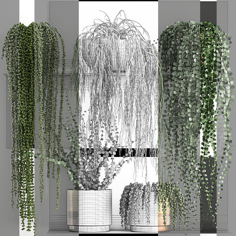 Vertical gardening on wall shelves 61 3D model_6