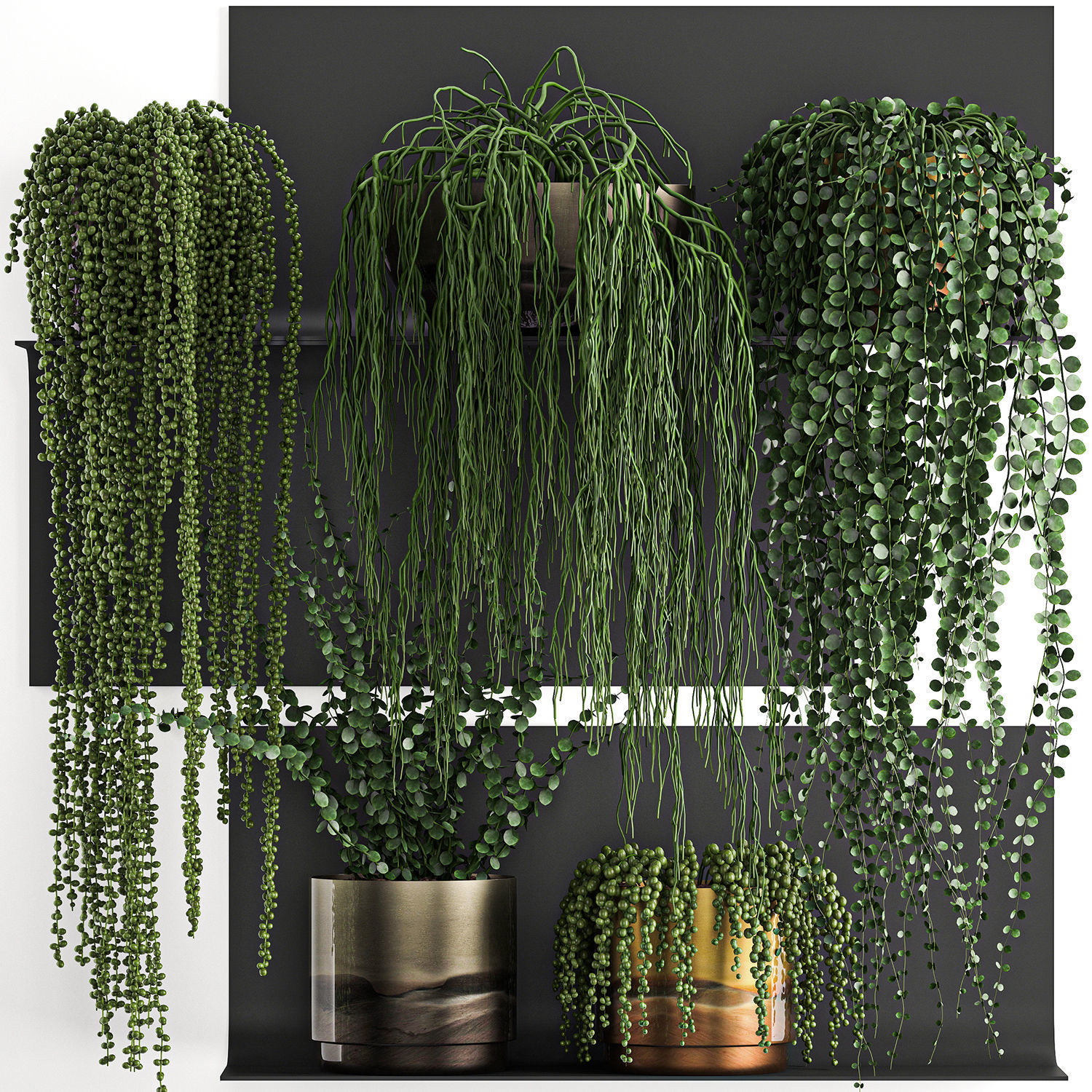 Vertical gardening on wall shelves 61 3D model_4