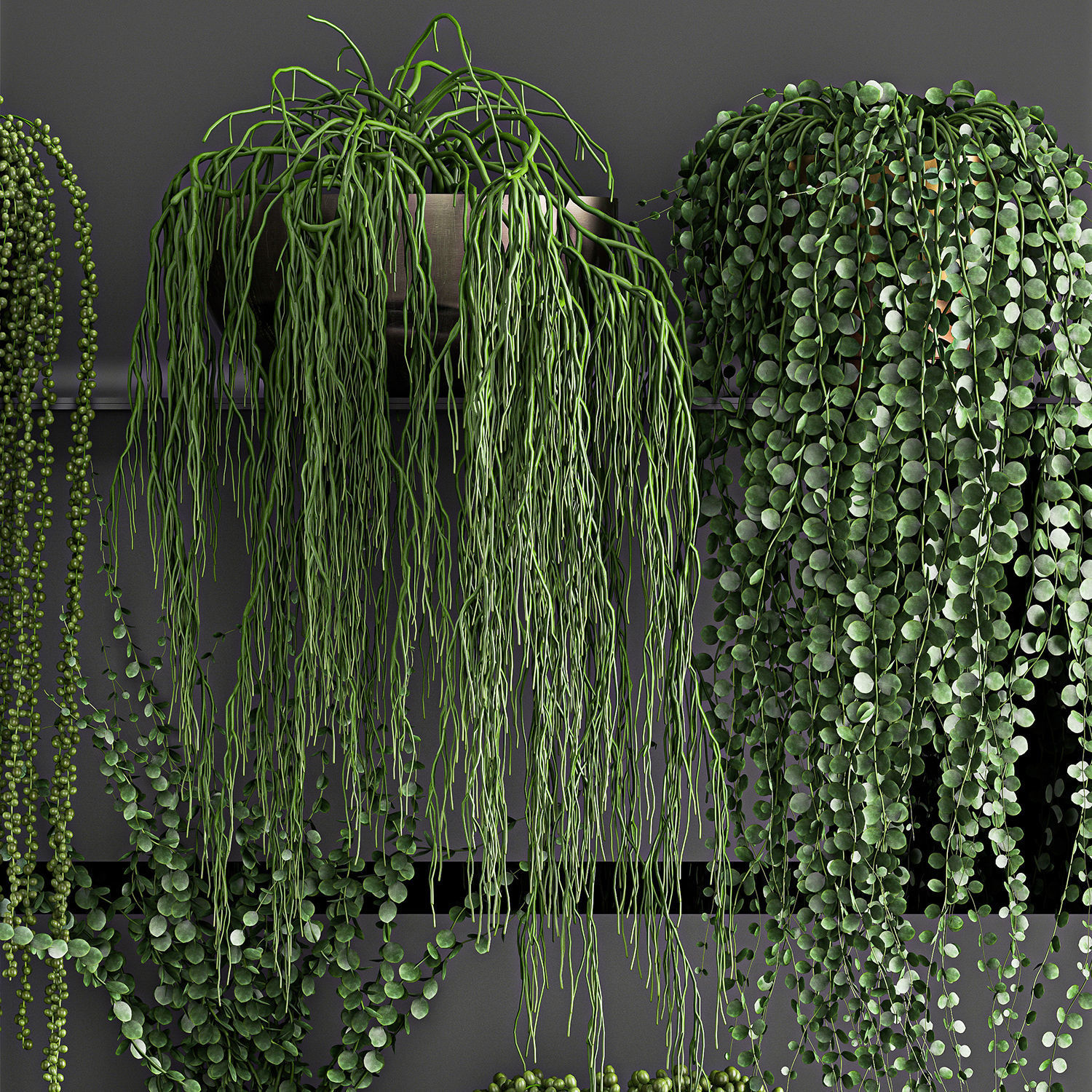 Vertical gardening on wall shelves 61 3D model_2