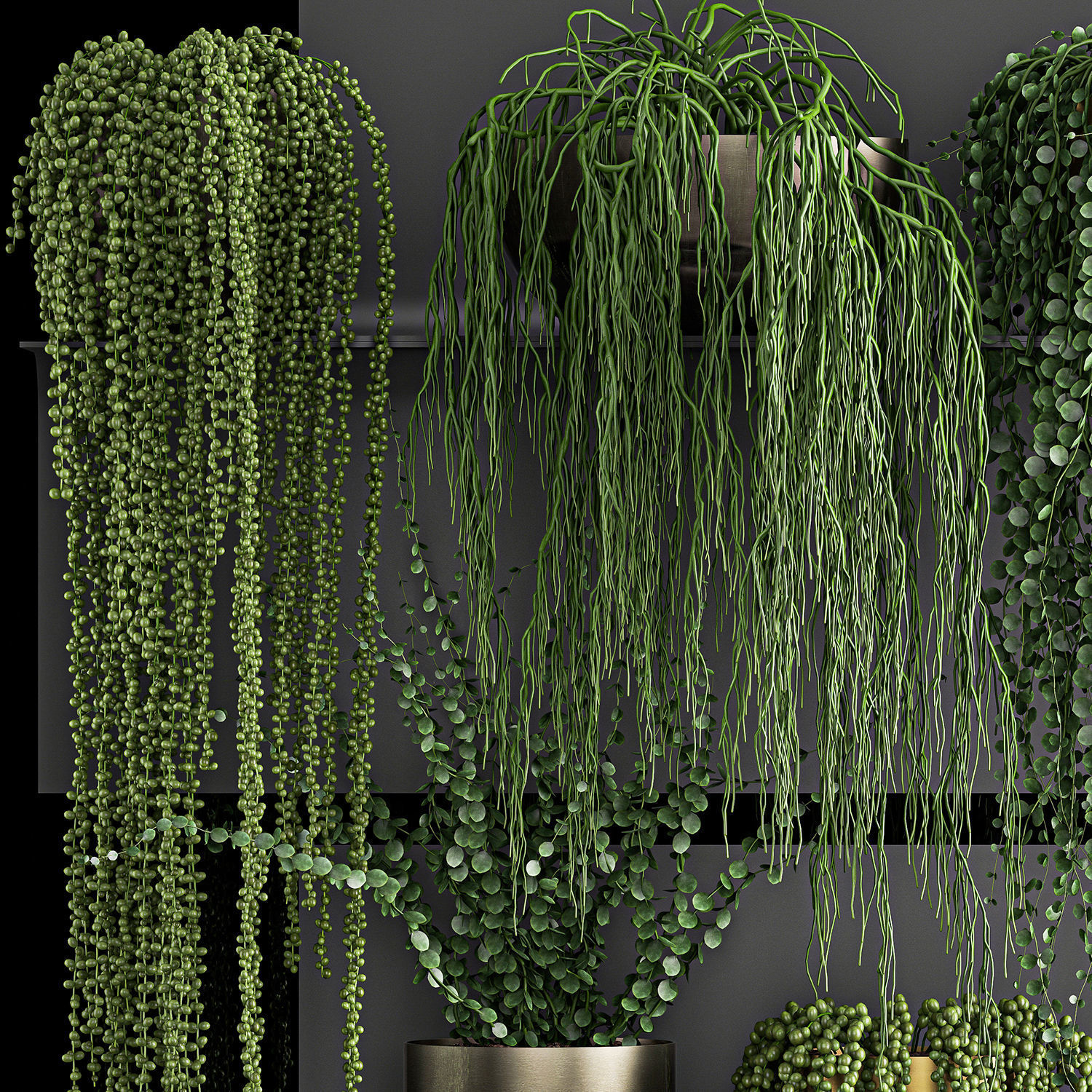 Vertical gardening on wall shelves 61 3D model_3