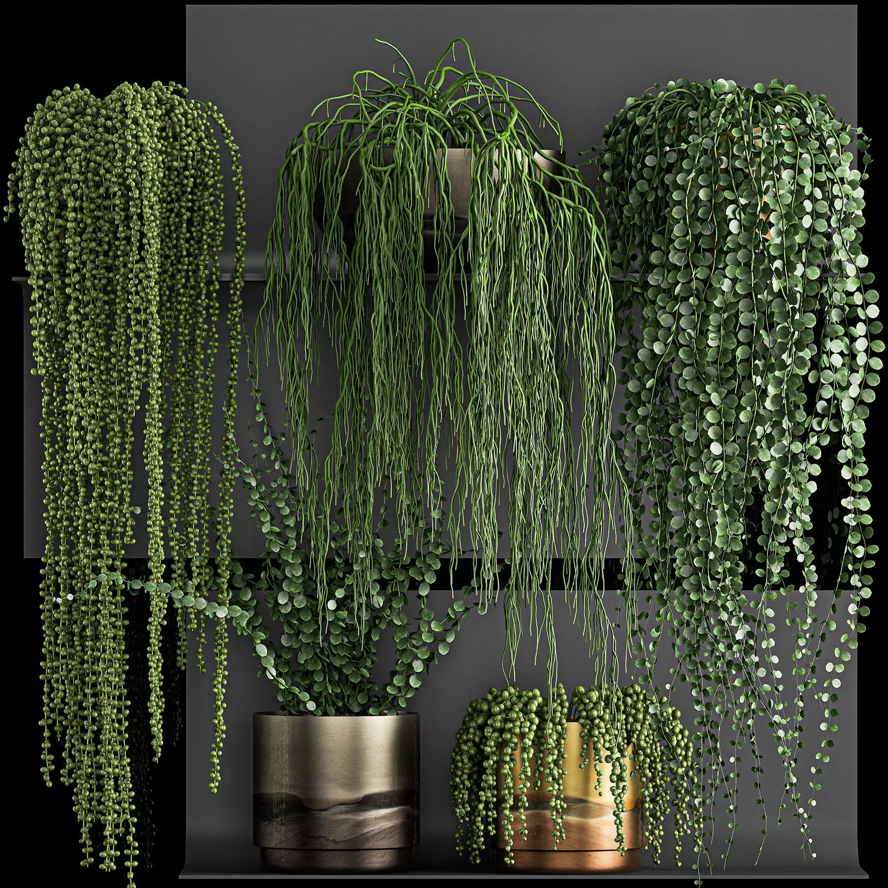 Vertical gardening on wall shelves 61 3D model_0