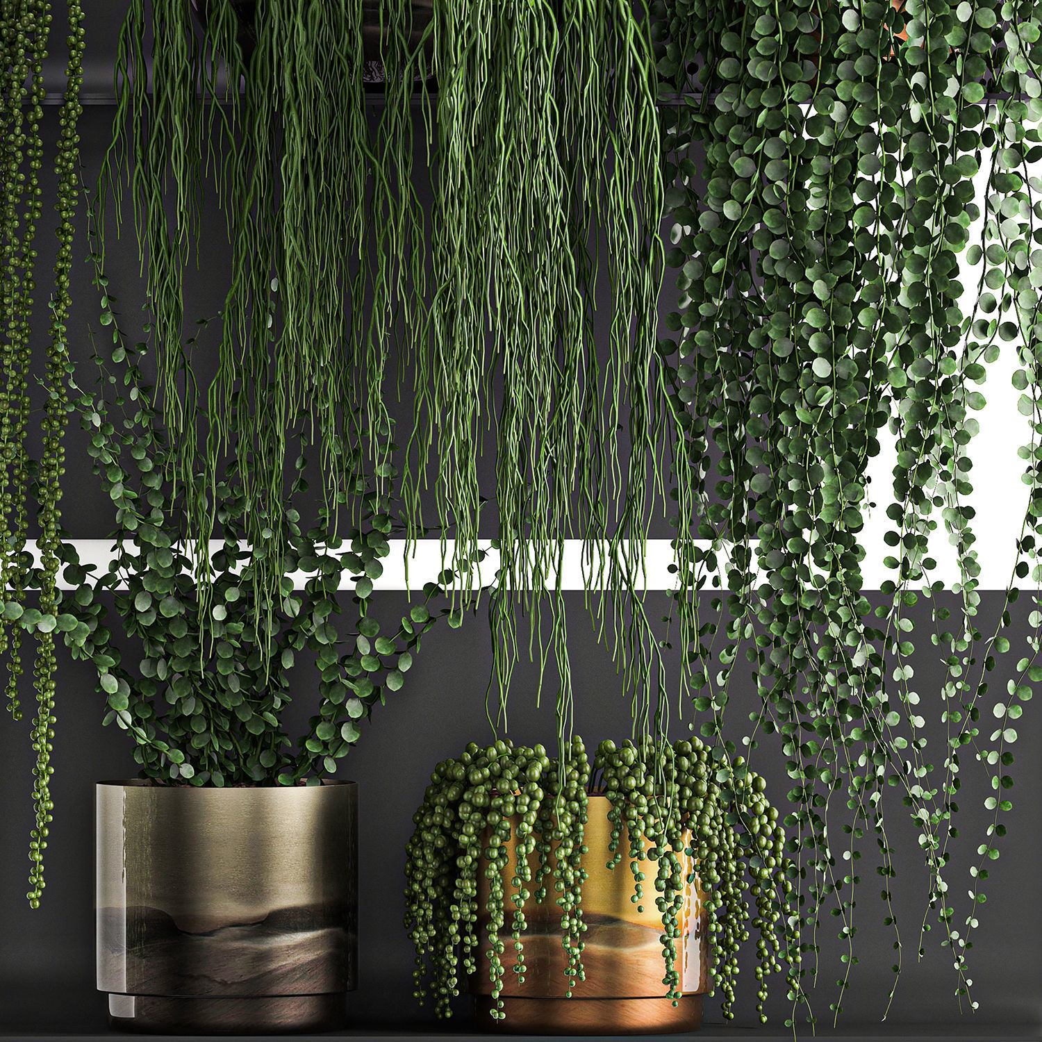 Vertical gardening on wall shelves 61 3D model_5