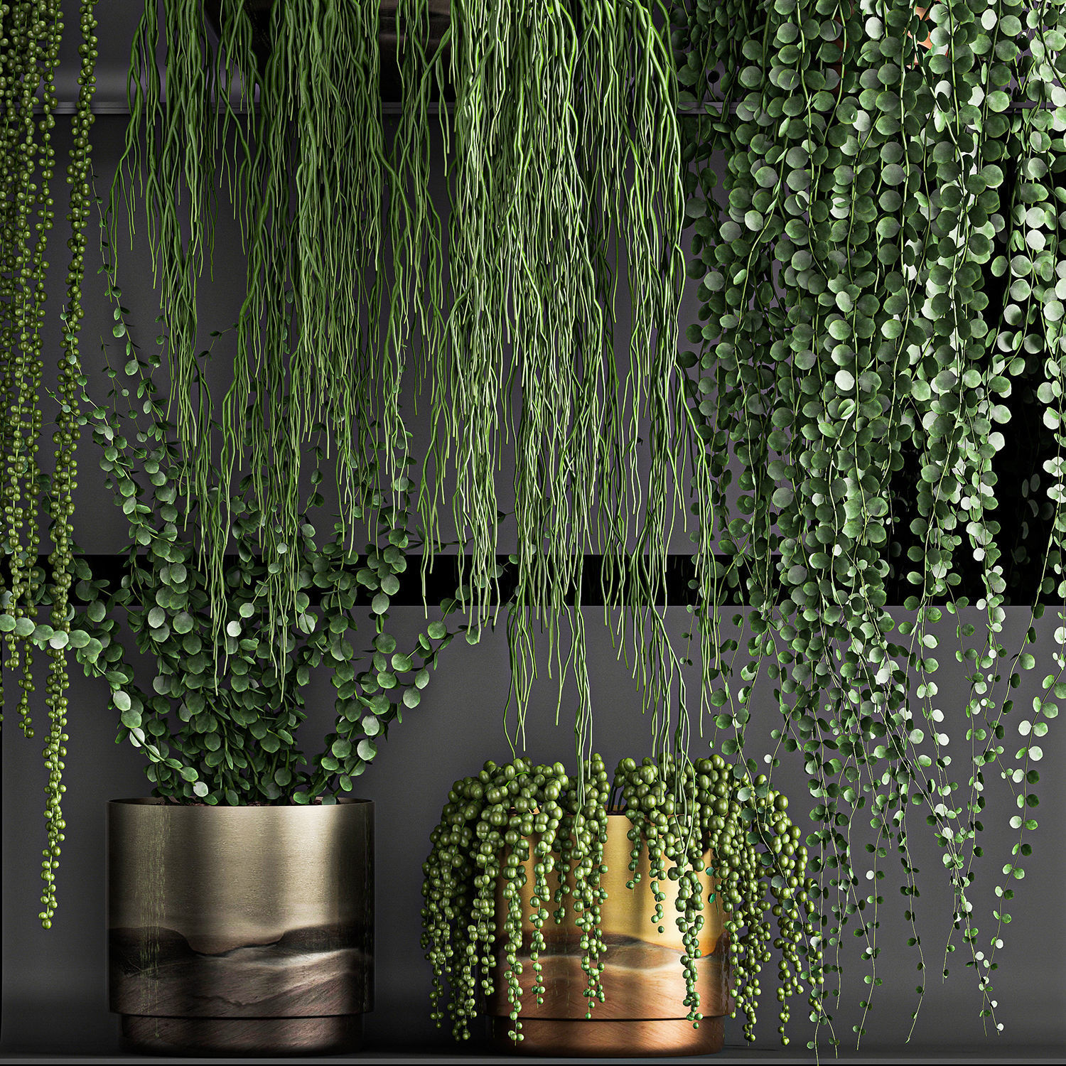 Vertical gardening on wall shelves 61 3D model_1