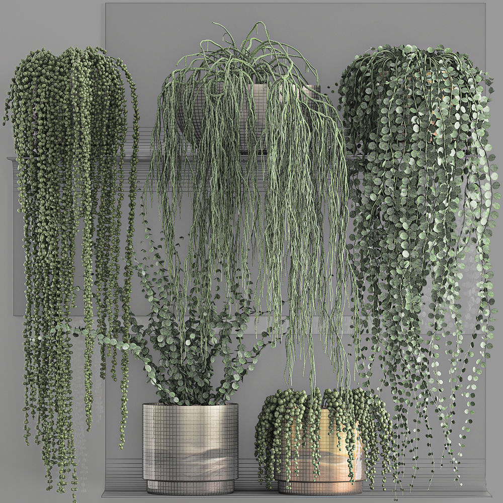 Vertical gardening on wall shelves 61 3D model_7
