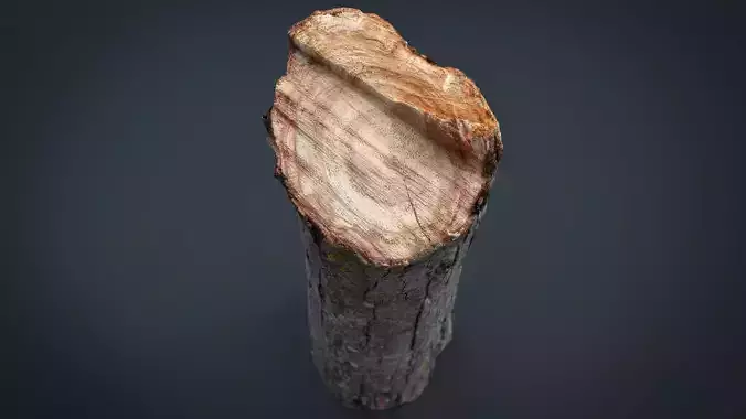Wood Log 2