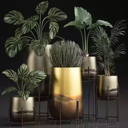 Decorative plants in Luxury Gold Pots for the interior 544 3D model