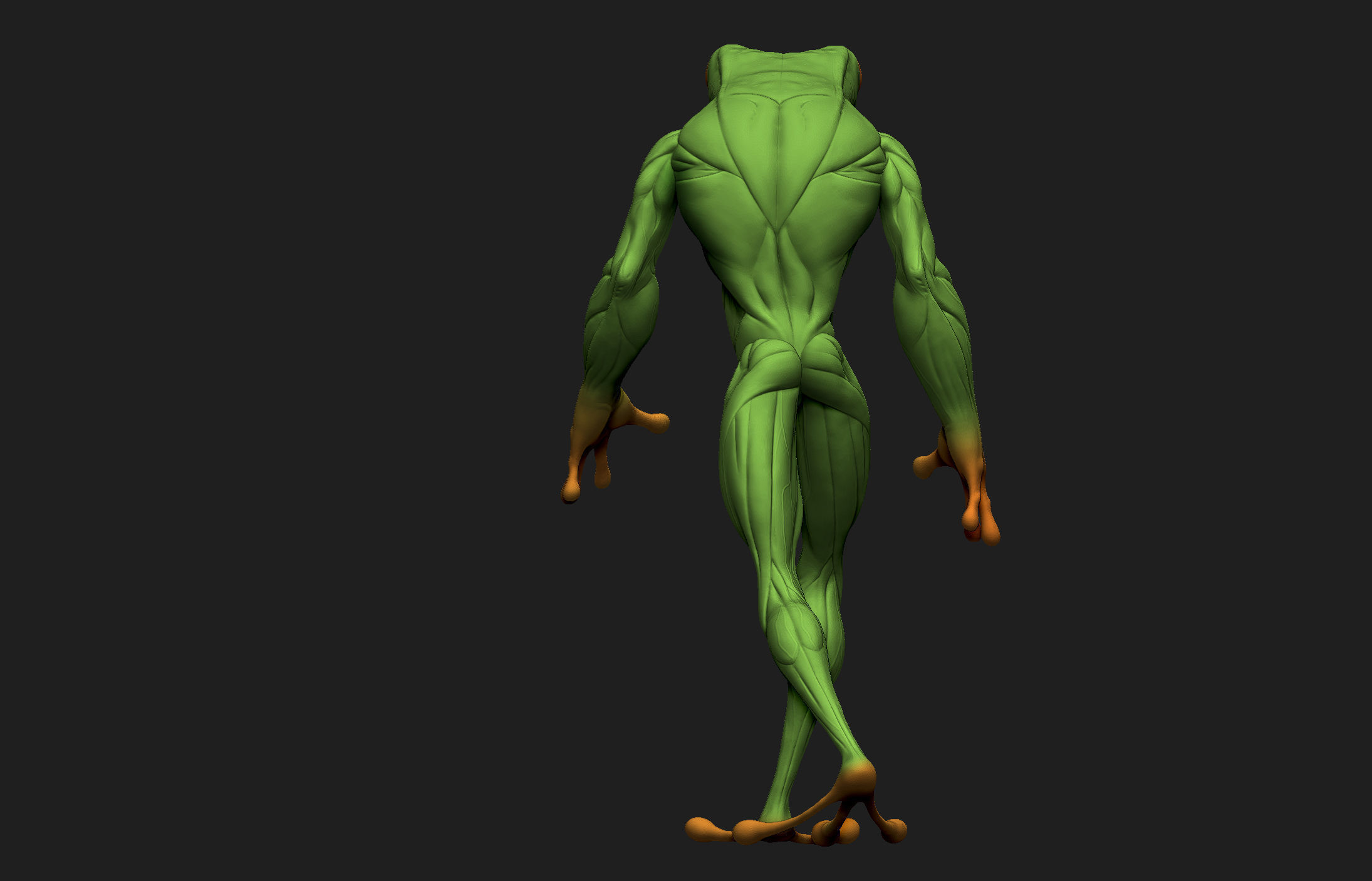 Frogman frog 3D print model_17