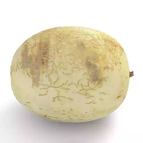 Honeydew Sunlady Melon - Photorealistic Scan Low-poly 3D model