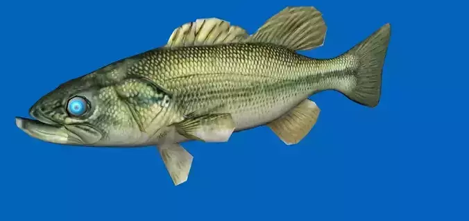 bass 3d fish