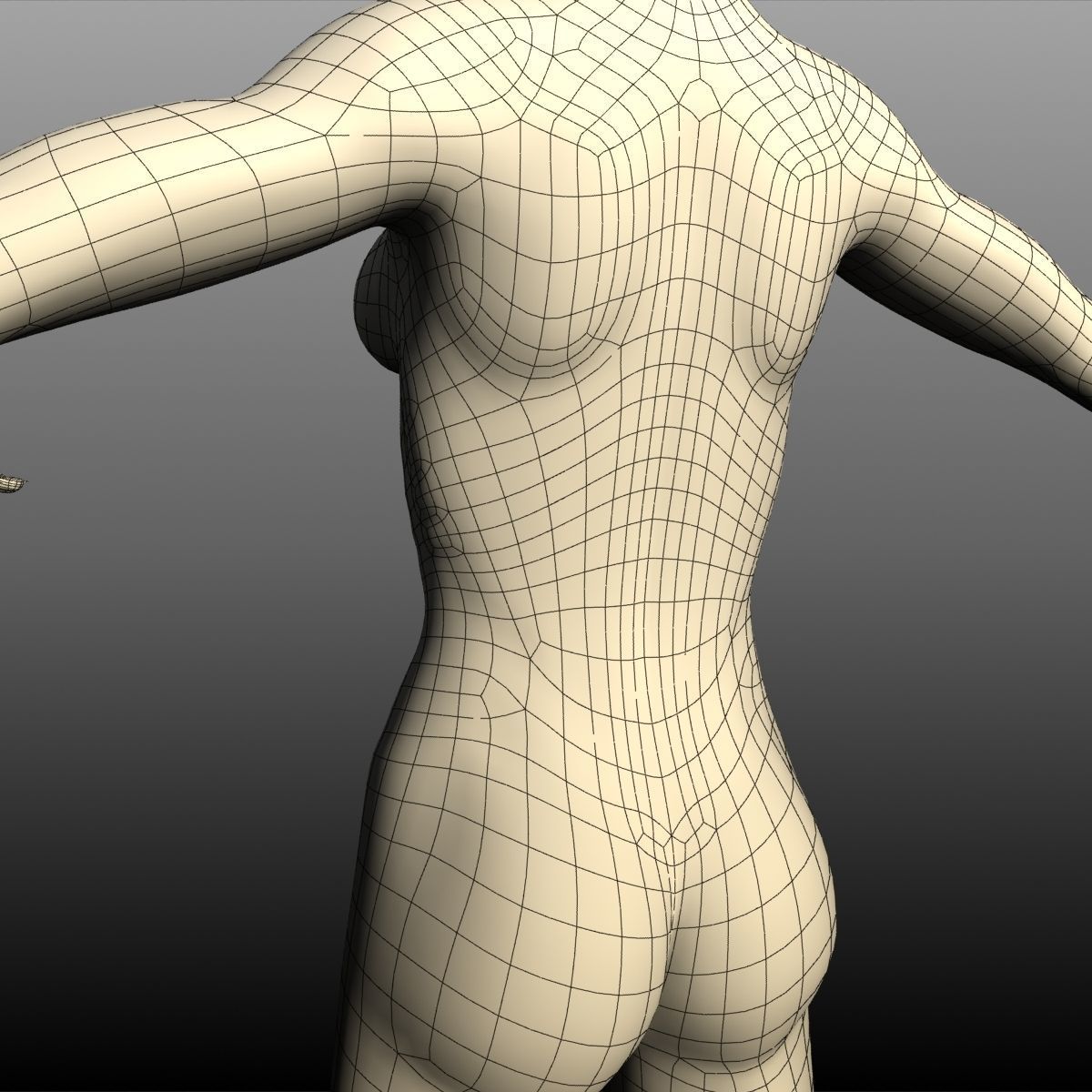 Alexa Female Base Mesh Free low-poly 3D model_14