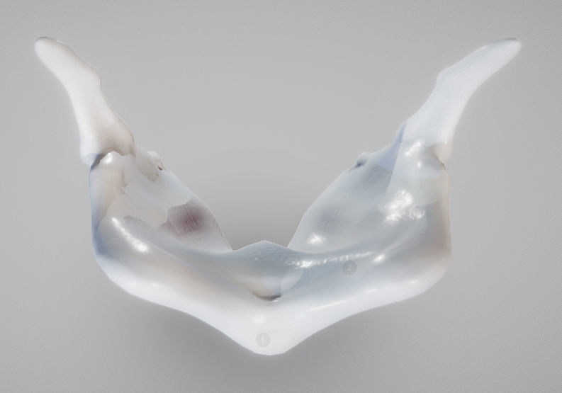Thyroid Cartilage Low-poly 3D model_11