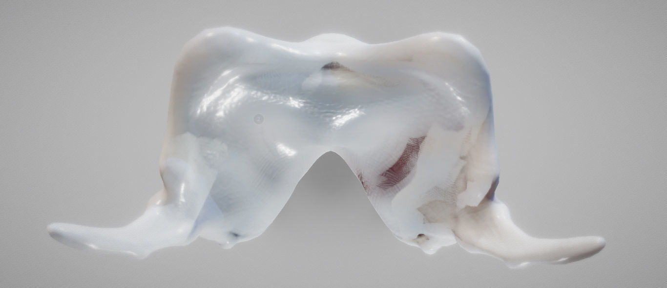 Thyroid Cartilage Low-poly 3D model_5