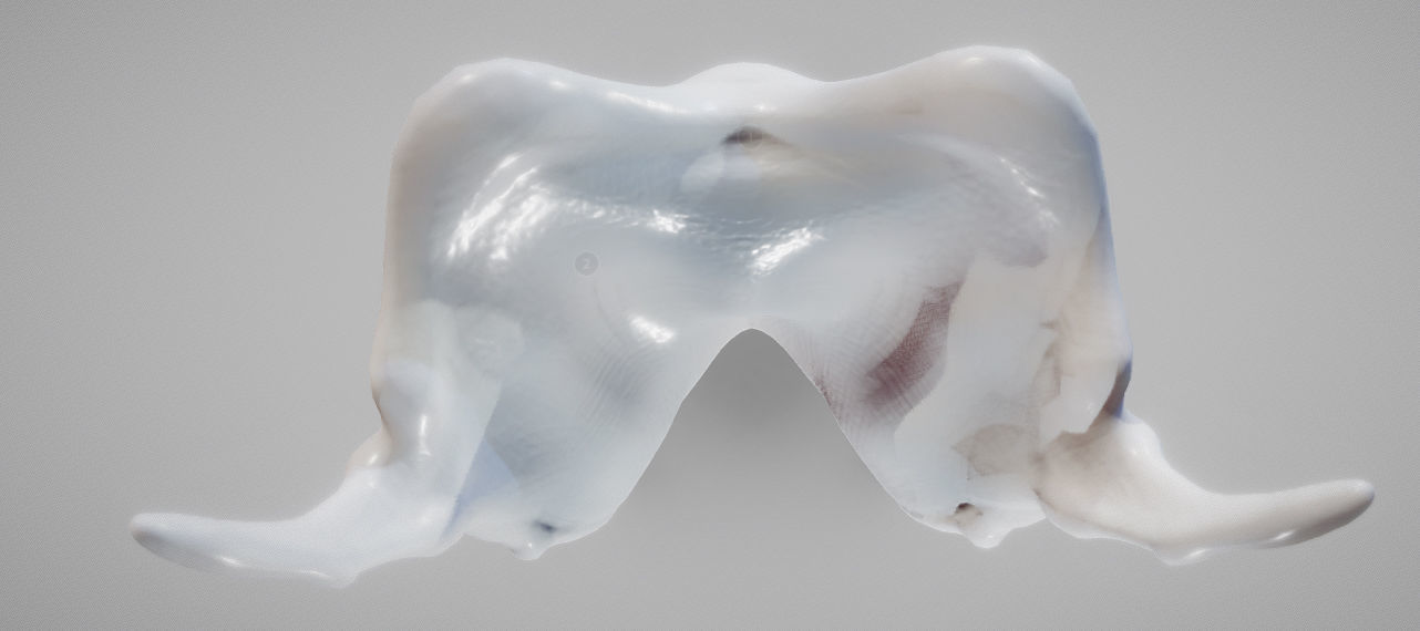 Thyroid Cartilage Low-poly 3D model_8