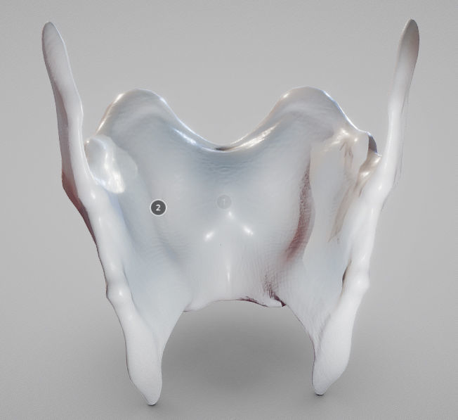 Thyroid Cartilage Low-poly 3D model_7