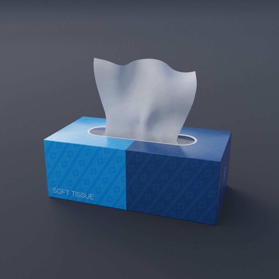 Tissue Box 3D model_2