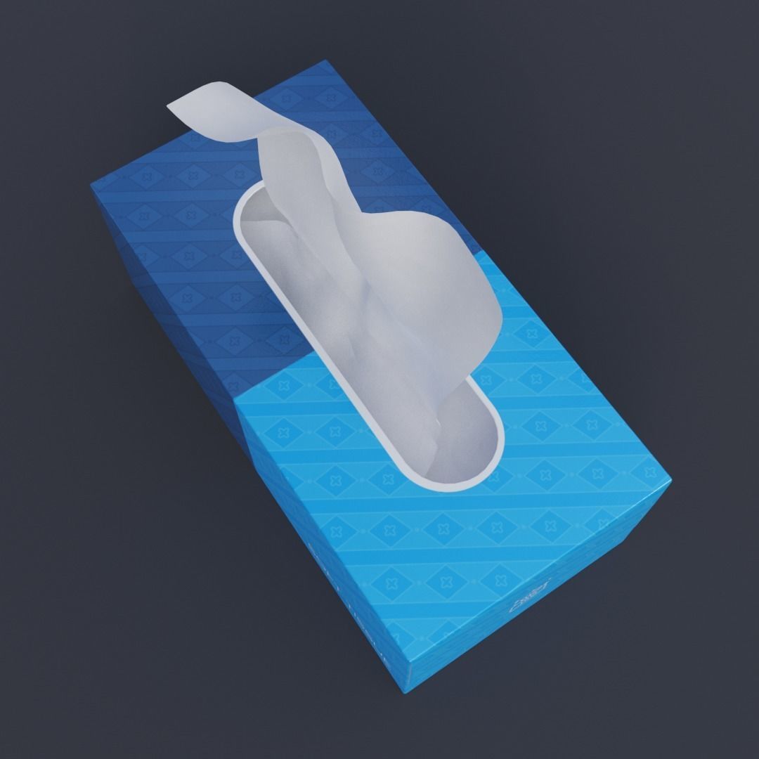 Tissue Box 3D model_4