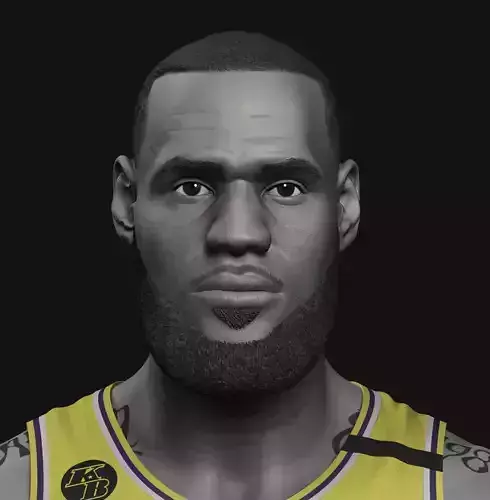 LeBron James Bust 3D print model