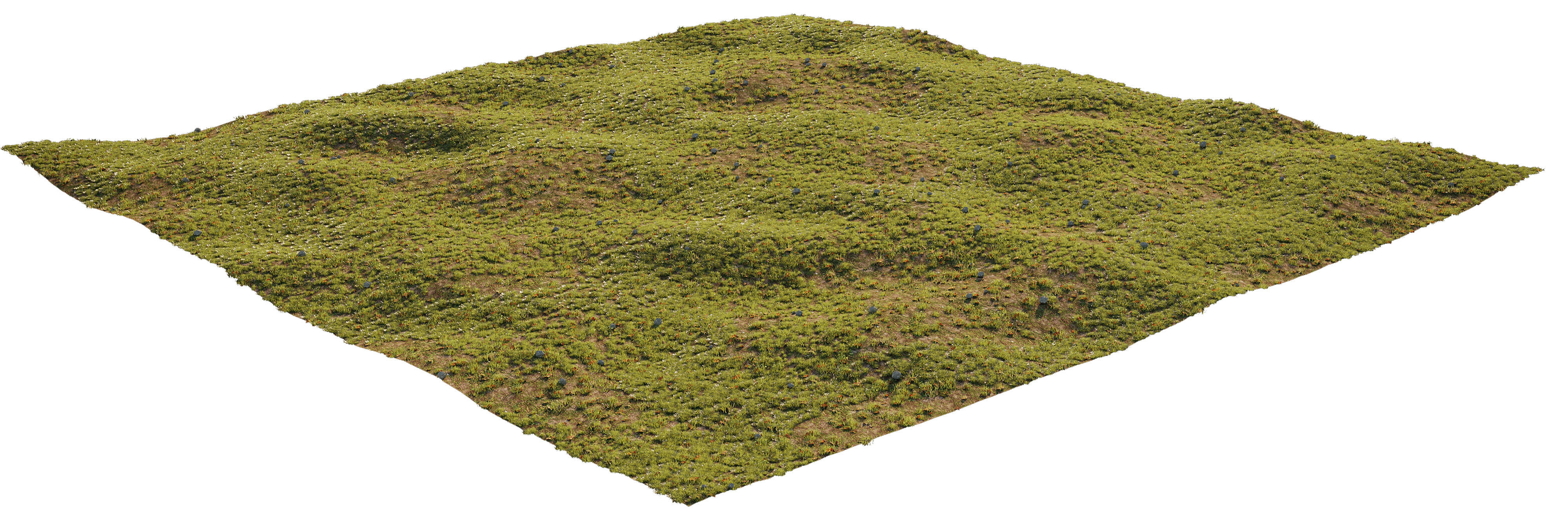 House Grass or Lawns 3D model_5